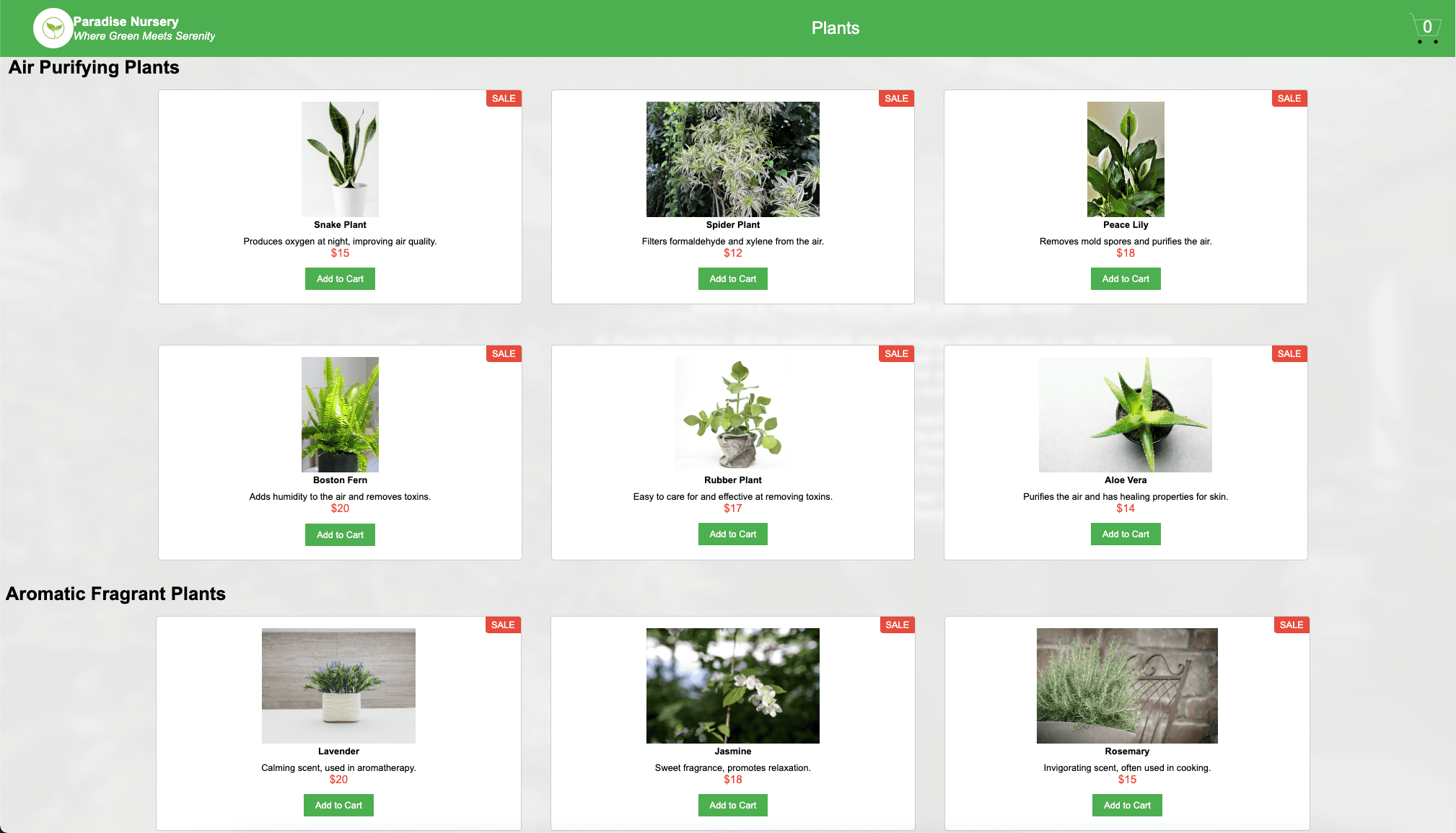 Screenshot of the E-Plant Shopping project.